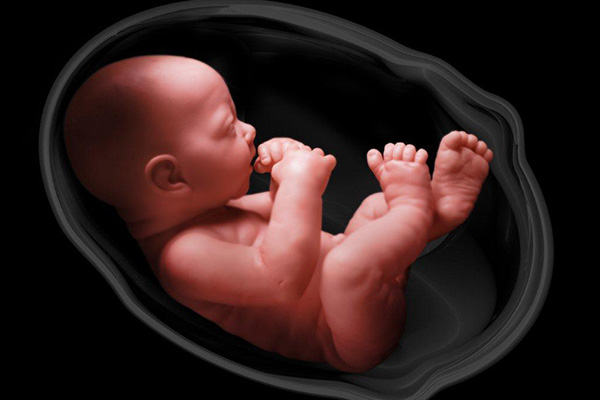 سقط ناخواسته جنین در زنان افزایش یافته است